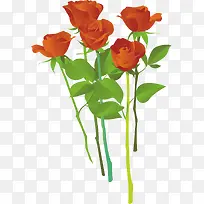 玫瑰花