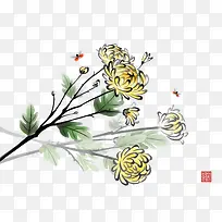 中国画菊花
