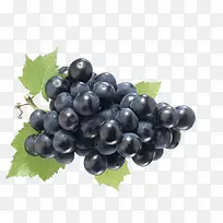 一串黑色生鲜葡萄