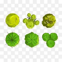 绿色小清新树木景观