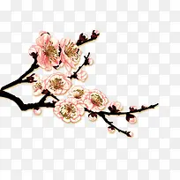 梅花