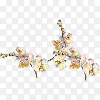 中国风花枝
