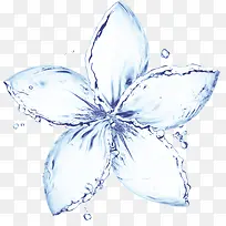 水滴形成的花朵