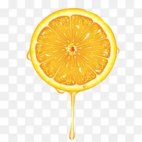 新鲜切开的橙子矢量图