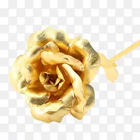 金箔玫瑰花图片