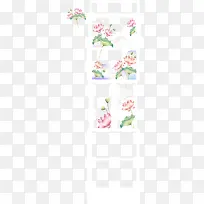 荷花banner