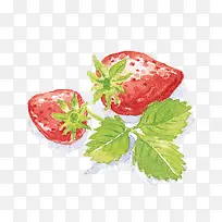 水彩手绘草莓