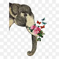 大象嘴里的花与蝴蝶