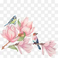 卡通手绘小鸟与花朵