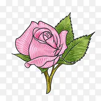 粉色玫瑰花矢量图