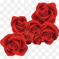 红色玫瑰花