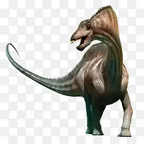 阿马加龙属灭绝生物实物