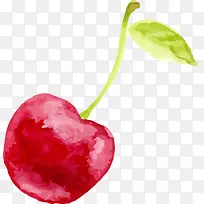 夏季手绘红色樱桃