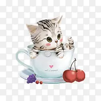 茶杯中的猫