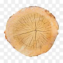 卡其色表面爆裂的木头截面实物