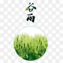 谷雨艺术字