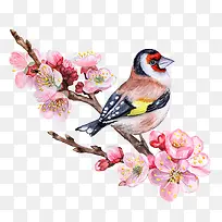 卡通手绘美丽的桃花小鸟