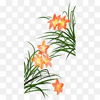 彩绘兰花装饰元素