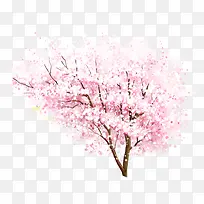 手绘水彩粉嫩桃花树