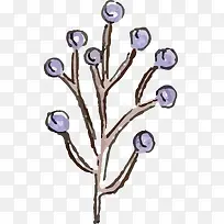 手绘水彩蓝莓果设计