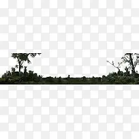 梦幻野外植物绿树