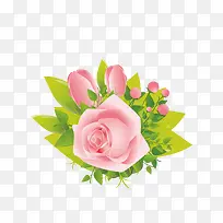 鲜花绿叶矢量图下载