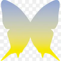灰黄色蝴蝶