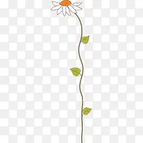 手绘花卉