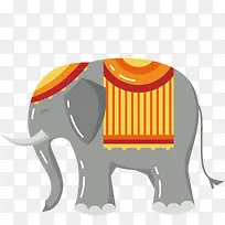 灰色的印度大象