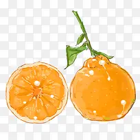 手绘丑橘水果元素