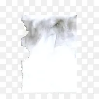 烧毁的纸