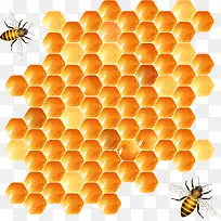 蜜蜂蜂巢设计矢量素材
