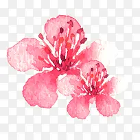 水彩手绘桃花花朵元素