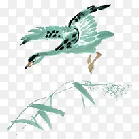 野鸭飞过芦苇水彩画