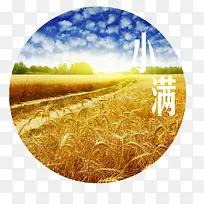 黄色稻田二十四节气