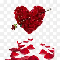 爱心玫瑰花瓣组合爱心植物