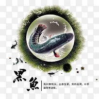黑鱼美食海报psd