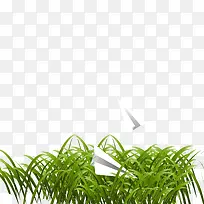 春季小草与纸飞机矢量图