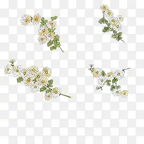 素雅植物花朵图案