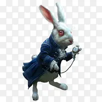 西方魔幻暗黑点缀 兔子