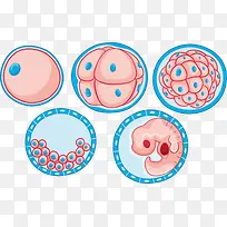 生物医疗细胞病变