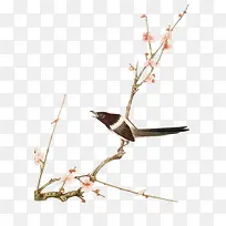 国画桃花与鸟
