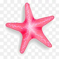 粉色海星矢量图