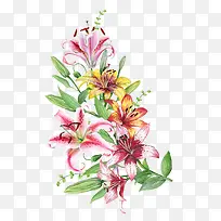 水彩创意百合花免抠图