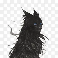 黑猫