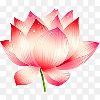 红色手绘荷花灯