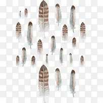 矢量手绘羽毛