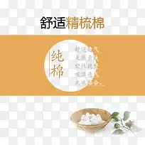 日系风格素材  棉花植物