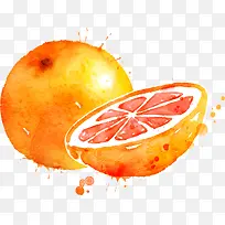 手绘水彩水果西柚