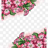 水彩手绘粉红樱花